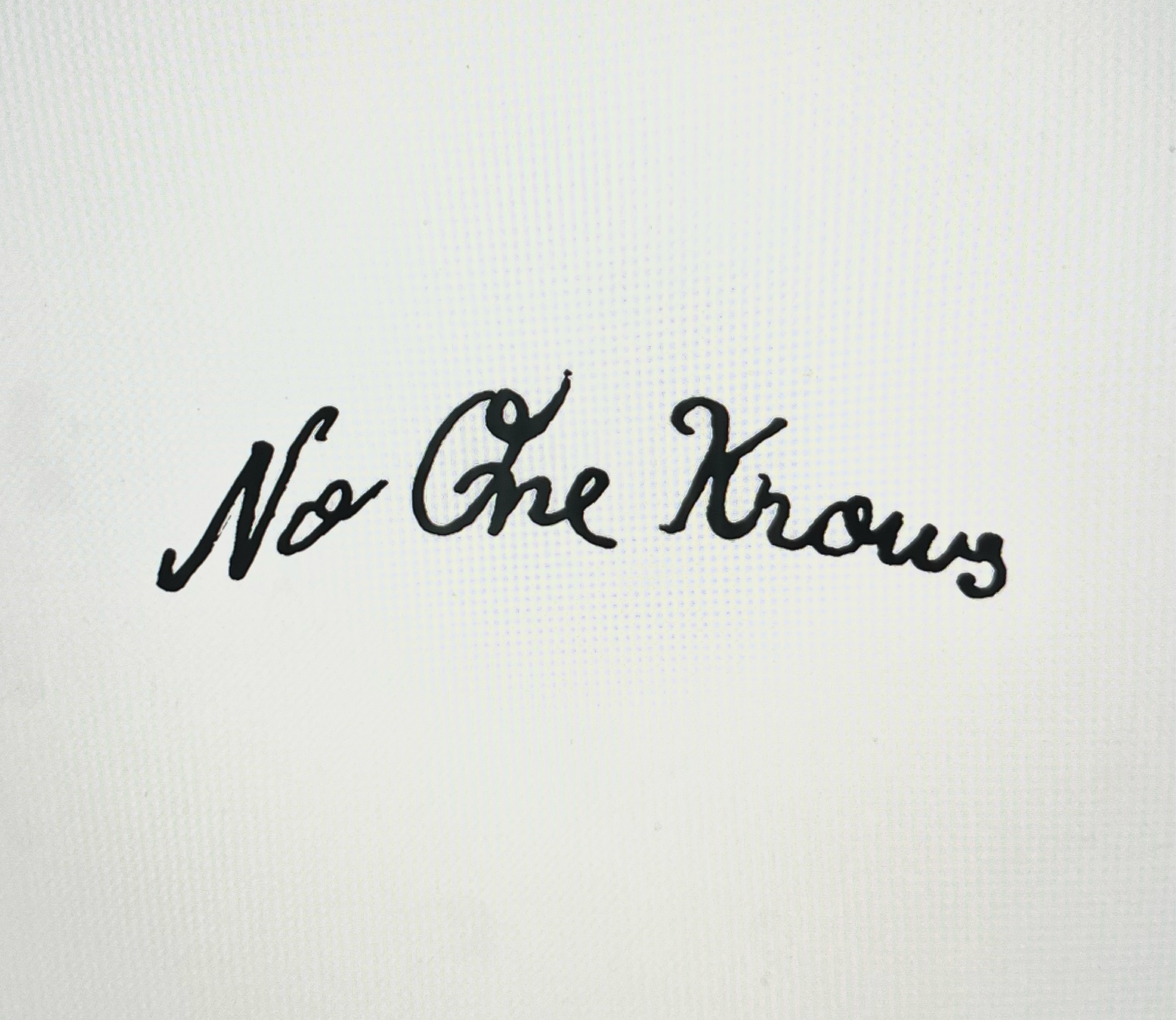 No One Knows project image